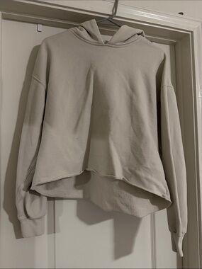 Abercrombie & Fitch Taupe Cropped Hoodie